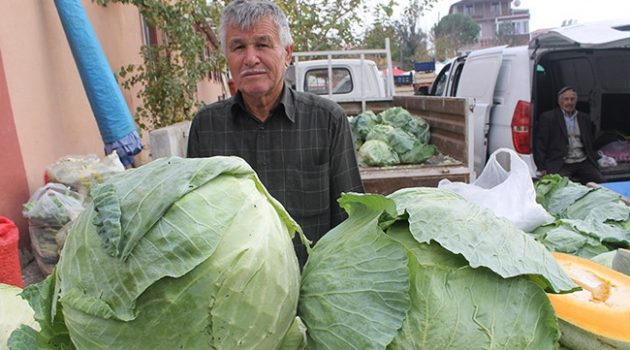 10 kiloluk lahanalara yoğun ilgi