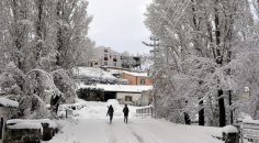 Doğu’da donduran soğuklar